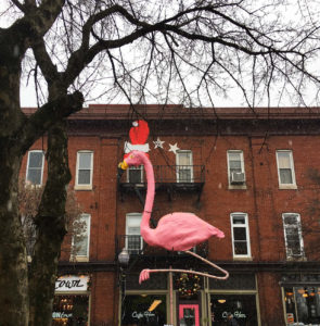 a giant pink flamingo in front of the café hon in the hampden neighborhood of baltimore, maryland, photographed by jamie bannon photography.