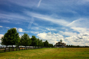 a farm in bluegrass country, kentucky, photographed by jamie bannon photography.