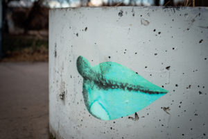 street art in denver, colorado, photographed by jamie bannon photography.