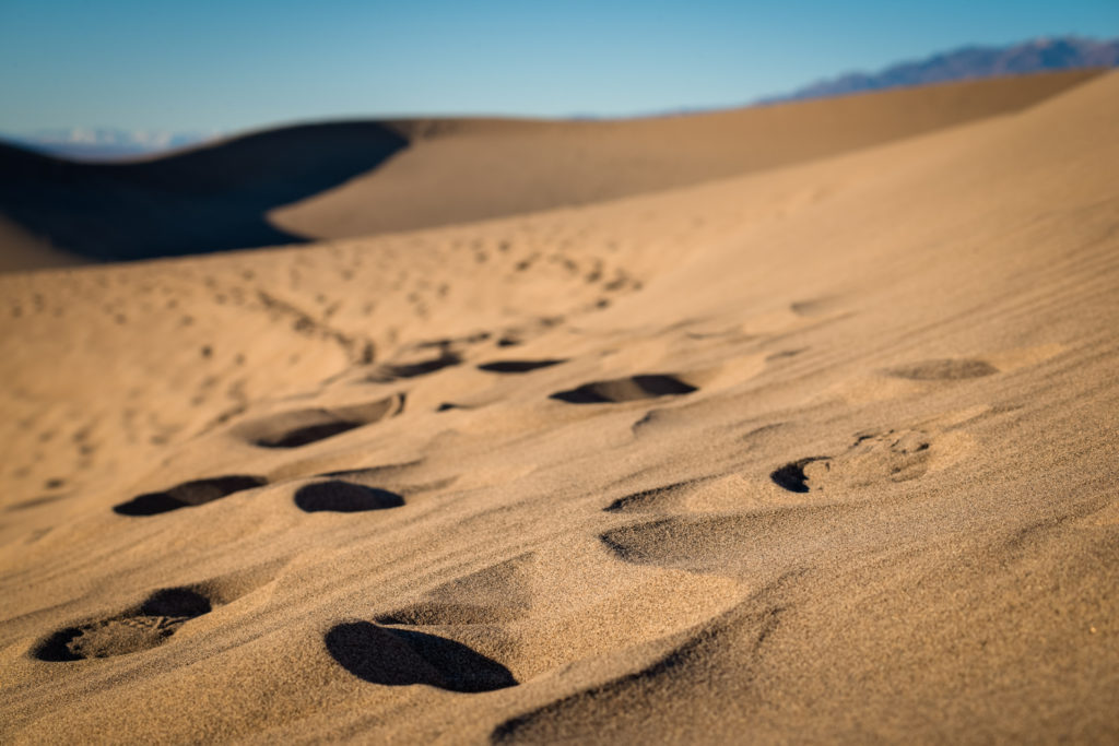 footprints in a sand dune in death valley, california, photographed by jamie bannon photography.