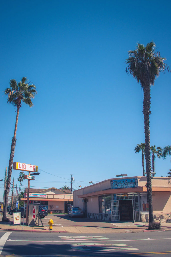 liquor store with palm trees in san diego, california, photographed by jamie bannon photography.