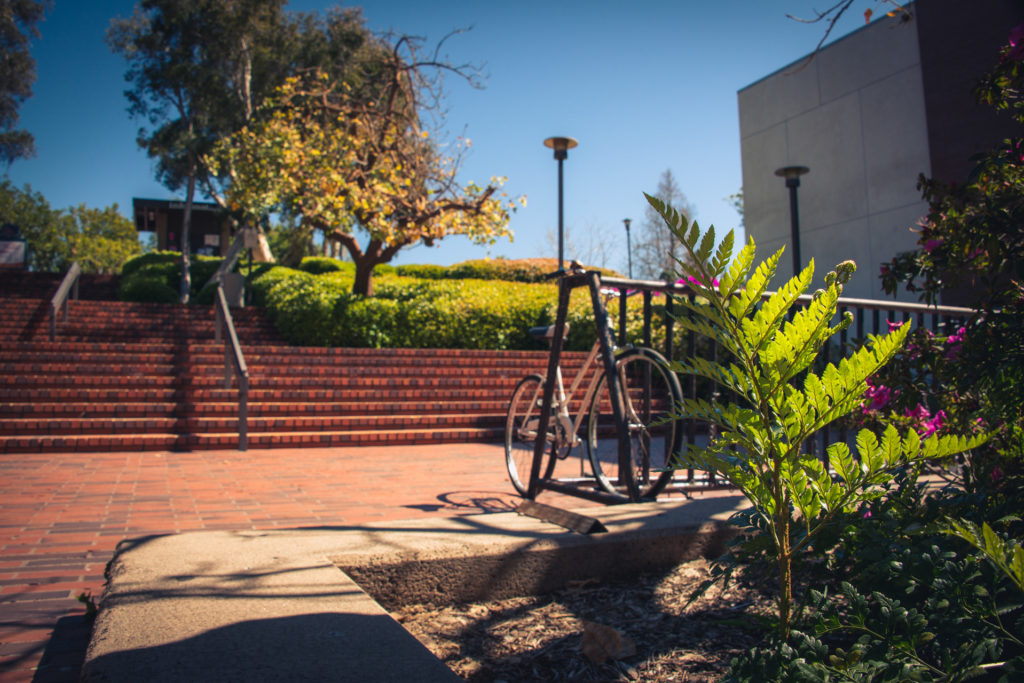 bike parked at a university in san diego, california, photographed by jamie bannon photography.