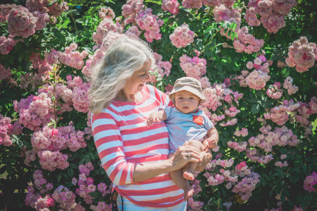 grandma and baby enjoy the elizabeth park rose gardens in hartford, connecticut, photographed by jamie bannon photography.
