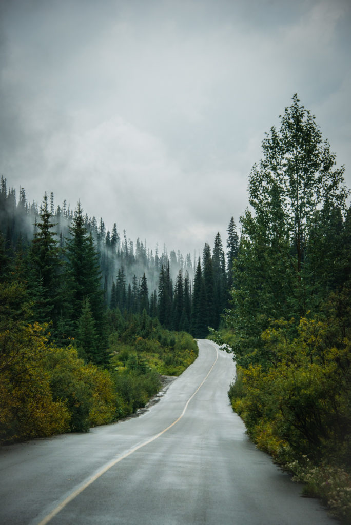 road into the foggy mountains of yoho national park of canada in british columbia, photographed by jamie bannon photography.