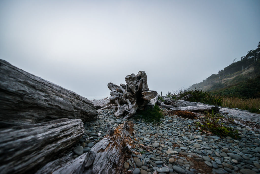 driftwood and rocks lay by the shore on a foggy evening on the olympic peninsula in washington, photographed by jamie bannon photography.