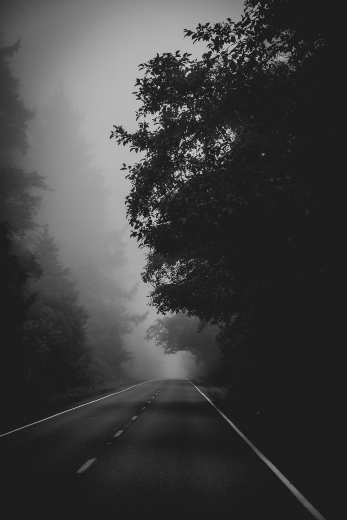 a foggy road on the olympic peninsula in black and white, photographed by jamie bannon photography.