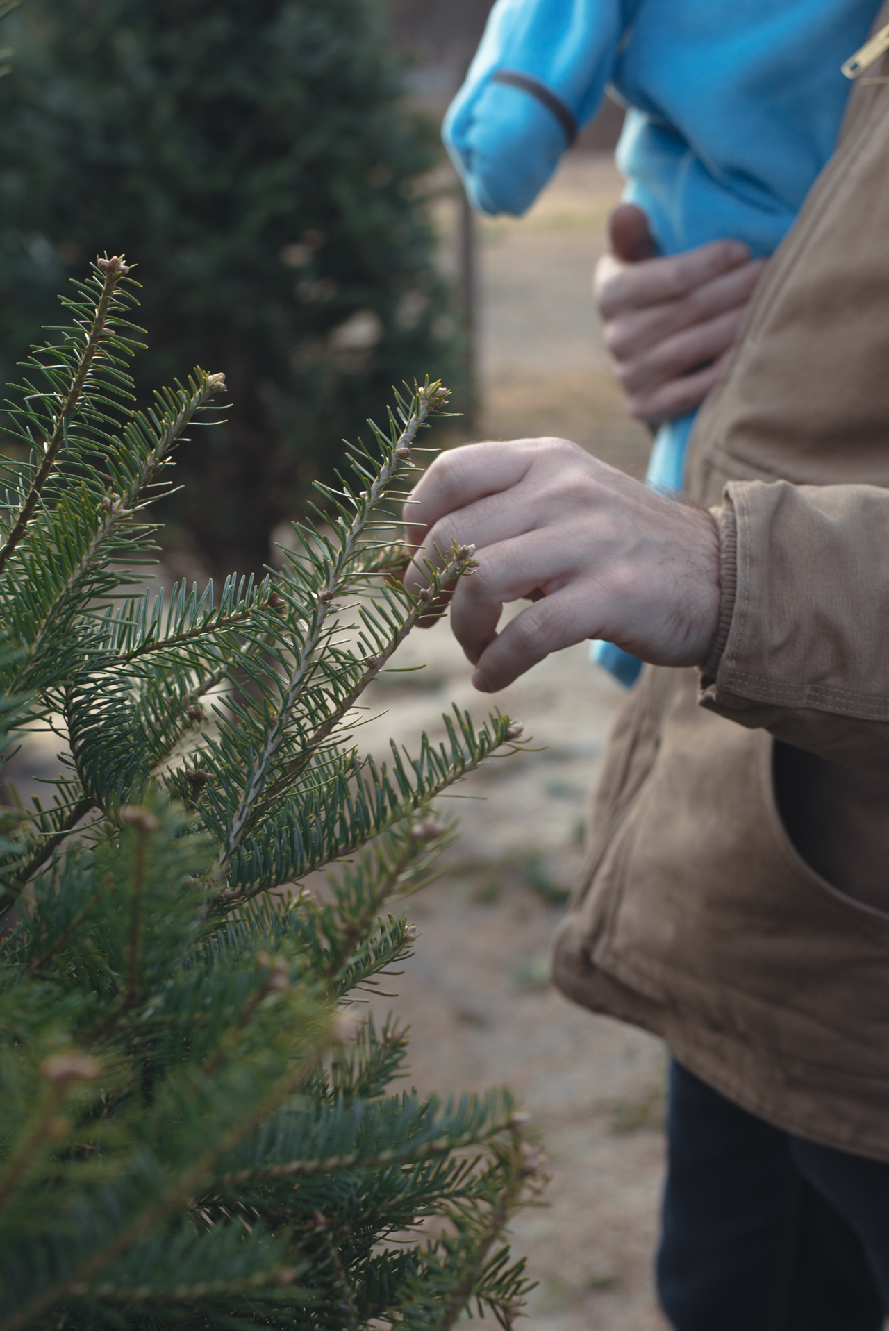 baby's first christmas tree / bloomfield, ct Jamie Bannon Photography