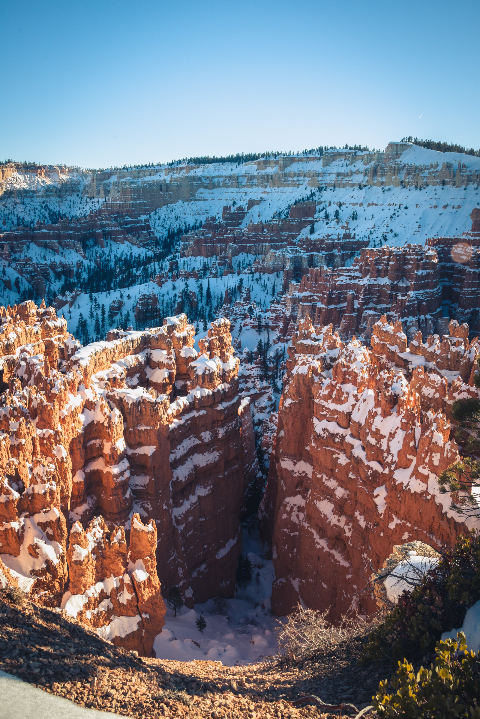 landscape photo of bryce canyon, utah, photographed by jamie bannon photography.