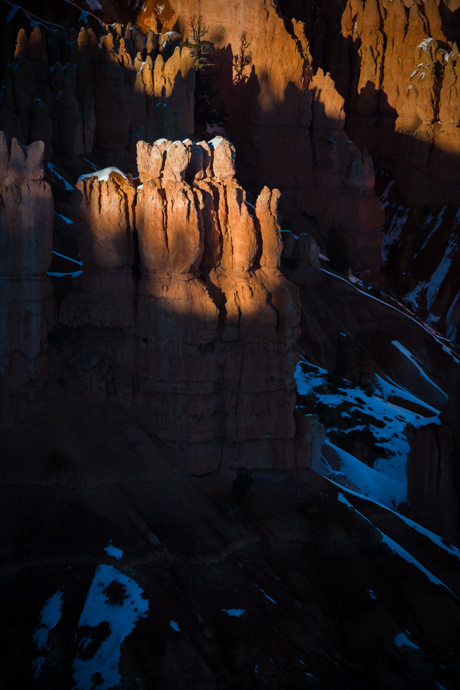 detail of hoodoos at sunset at bryce canyon, utah, photographed by jamie bannon photography.